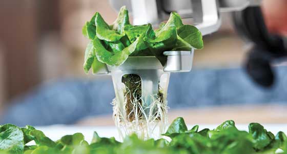 Iron Ox transplanter
